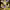 https://res.cloudinary.com/billionhands/image/upload/v1778705122/items/cgobclirbuiq7c9cnoyu.webp-0cover
