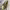 https://res.cloudinary.com/billionhands/image/upload/v1778707512/items/endanw5aneeiyy2bkerc.jpg-1cover
