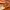 https://res.cloudinary.com/billionhands/image/upload/v1778711535/items/xfx19vsz6vfe4zutj6va.jpg-2cover