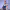 https://res.cloudinary.com/billionhands/image/upload/v1778713782/items/zkwgbbuw2vkgtq8h0gsd.jpg-1cover