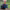 https://res.cloudinary.com/billionhands/image/upload/v1778716690/items/inxpsnhywtgwqznwt2zs.jpg-0cover