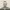 https://res.cloudinary.com/billionhands/image/upload/v1778727406/items/vwvptbrdxeesayboxs0h.jpg-2cover