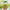 https://res.cloudinary.com/billionhands/image/upload/v1778732966/items/wsv9viun7etiuvgti0fa.jpg-0cover