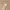 https://res.cloudinary.com/billionhands/image/upload/v1778733212/items/byfem8crlpyvav3ckzff.jpg-3cover