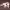https://res.cloudinary.com/billionhands/image/upload/v1778733218/items/nucfg4cwpei2gzhfavbp.jpg-2cover