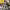 https://res.cloudinary.com/billionhands/image/upload/v1778734720/items/uitjagcmi1hcmwno3baq.jpg-1cover