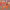 https://res.cloudinary.com/billionhands/image/upload/v1778738125/items/xzgbgwlqaqbn4q3wkyyp.jpg-1cover