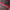 https://res.cloudinary.com/billionhands/image/upload/v1778741964/items/pm1ztshvdbfxkoqs5sio.webp-2cover