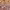 Best rustic barn weddings cover