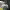 https://res.cloudinary.com/billionhands/image/upload/v1778746842/items/dktrlv1tt1lyi6tvjinj.webp-0cover