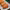 https://res.cloudinary.com/billionhands/image/upload/v1778746844/items/xvwngkzviujwmmz5bxiy.jpg-0cover