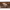 Victor 23 Craft Brewery Dark Shades cover