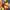 https://res.cloudinary.com/billionhands/image/upload/v1778748748/items/kknf7kq5fgd5tilptyze.webp-1cover