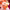 https://res.cloudinary.com/billionhands/image/upload/v1778748752/items/vh09as2zhpfdmtotabgs.webp-2cover