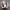 https://res.cloudinary.com/billionhands/image/upload/v1778748757/items/ilaohkcsokewj6icz6ik.webp-1cover