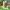 https://res.cloudinary.com/billionhands/image/upload/v1778749431/items/fzokfbve5uutgshlndwo.webp-3cover