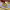 https://res.cloudinary.com/billionhands/image/upload/v1778750913/items/noc523rcjepk5cwr4zvl.jpg-3cover