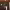 https://res.cloudinary.com/billionhands/image/upload/v1778751281/items/prmw537riaxokv3j9j7h.jpg-2cover