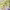 https://res.cloudinary.com/billionhands/image/upload/v1778752162/items/jirijqtuxiiw1oppajfh.webp-1cover
