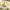 https://res.cloudinary.com/billionhands/image/upload/v1778753563/items/ttdimok5bk7hplf0yw9y.jpg-3cover