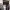 https://res.cloudinary.com/billionhands/image/upload/v1778754456/items/vpqtzytojz0jepgnwbb8.jpg-1cover