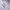 https://res.cloudinary.com/billionhands/image/upload/v1778757884/items/rsvofquyn6xswqor9t1l.webp-0cover