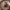 https://res.cloudinary.com/billionhands/image/upload/v1778758192/items/il8qcfcuql2hnnsqtmru.jpg-3cover