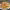 https://res.cloudinary.com/billionhands/image/upload/v1778761329/items/ormxjcooermvunjpp6s1.jpg-0cover