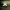 https://res.cloudinary.com/billionhands/image/upload/v1778762790/items/uxupphdzesl5mikkbftv.jpg-1cover