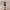 https://res.cloudinary.com/billionhands/image/upload/v1778763459/items/vpjr4vcw1cie69lxujpe.webp-2cover
