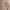 https://res.cloudinary.com/billionhands/image/upload/v1778766500/items/tkpzwnhvs1mnczffcm1s.jpg-3cover