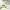https://res.cloudinary.com/billionhands/image/upload/v1778771908/items/xtseqqkxm8zbkpb13sgc.webp-1cover