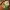 https://res.cloudinary.com/billionhands/image/upload/v1778771911/items/emoogqpd0de25rtx9dvl.webp-2cover