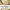 https://res.cloudinary.com/billionhands/image/upload/v1778773850/items/d2wcjvcbuetkuvs7uxtc.jpg-2cover