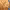 https://res.cloudinary.com/billionhands/image/upload/v1778773854/items/igp8260lgnaztn7bosce.jpg-3cover