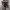https://res.cloudinary.com/billionhands/image/upload/v1778775840/items/t28hinjgfmqcm7rhkozu.jpg-3cover