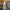 https://res.cloudinary.com/billionhands/image/upload/v1778775845/items/apeyvd2jh39shdhegblf.jpg-2cover