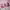 https://res.cloudinary.com/billionhands/image/upload/v1778777103/items/pq27h6v7i3sjsou6ytoz.webp-2cover