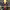 https://res.cloudinary.com/billionhands/image/upload/v1778777288/items/jotzdycgqhu87sghtsbi.jpg-2cover