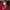 https://res.cloudinary.com/billionhands/image/upload/v1778777289/items/ay1d0vrht8ydmrxqmnm3.jpg-0cover