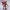https://res.cloudinary.com/billionhands/image/upload/v1778778882/items/znrzfon7mkgcb6mkvnrr.jpg-3cover