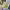 https://res.cloudinary.com/billionhands/image/upload/v1778779092/items/ce7r3lvgbwwkbaeub5gk.jpg-0cover