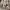 https://res.cloudinary.com/billionhands/image/upload/v1778779094/items/h62bzgxdxotsz7giitdn.jpg-0cover