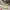 https://res.cloudinary.com/billionhands/image/upload/v1778779098/items/xytf0nfckj0bcvfscyip.jpg-2cover