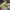 https://res.cloudinary.com/billionhands/image/upload/v1778779102/items/m9s4hcqfw2nphmsh6uqh.jpg-2cover