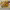 https://res.cloudinary.com/billionhands/image/upload/v1778779784/items/jyjzxheg0xswecp8jyqy.webp-1cover