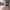 https://res.cloudinary.com/billionhands/image/upload/v1778779784/items/ynzxod70chlljuyqpa9r.webp-0cover