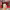 https://res.cloudinary.com/billionhands/image/upload/v1778783045/items/llgxwqlloojppxbuejqk.webp-2cover