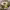 https://res.cloudinary.com/billionhands/image/upload/v1778784276/items/ggf5lkg9or9qrnweqogd.jpg-1cover