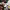 https://res.cloudinary.com/billionhands/image/upload/v1778784583/items/s1ymagblx0lefa5q9yrw.jpg-1cover